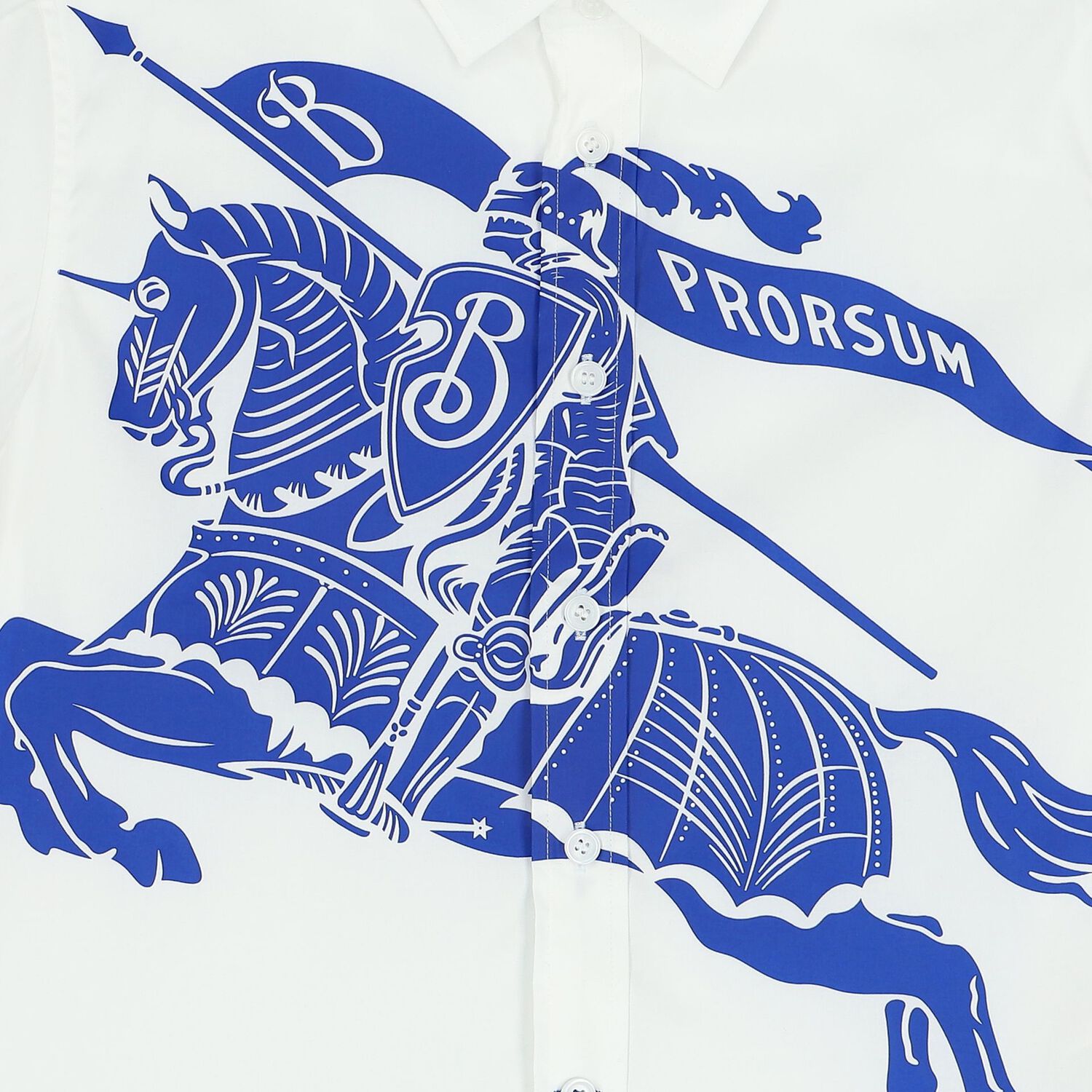 قميص أولاد بطبعة باللون الأبيض والأزرق, 1, hi-res