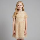 Girls Beige Embroidered Tulle Dress, 1, hi-res