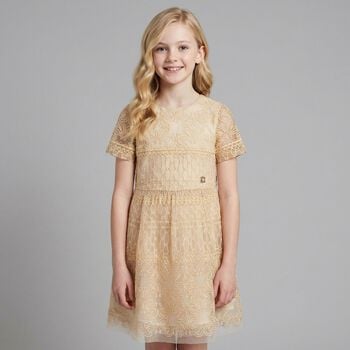Girls Beige Embroidered Tulle Dress