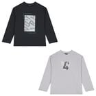 Boys Grey Long Sleeve Top ( 2-Pack ), 2, hi-res