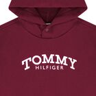 Boys Red Logo Hooded Top, 3, hi-res