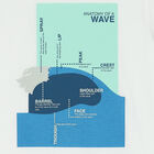 Boys White Cotton T-Shirt, 1, hi-res