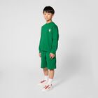 Boys Green Dice Logo Sweatshirt, 1, hi-res