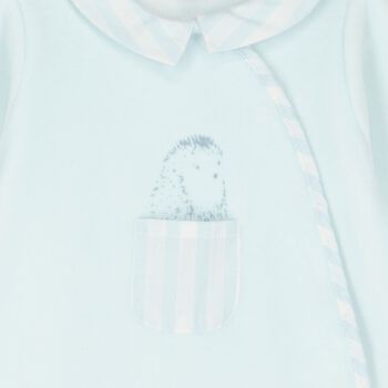 Baby Boys Blue Babygrow