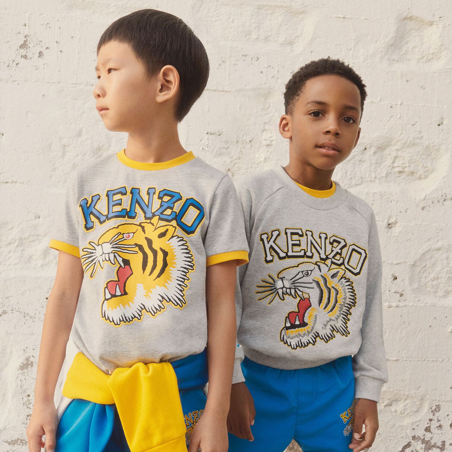Boys Grey Varsity Tiger T-Shirt, 1, hi-res