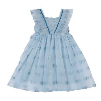 Girls Blue Tulle Dress