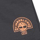 شورت سباحة للأولاد بالشعار باللون الرمادي, 1, hi-res