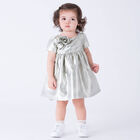 Baby Girls Silver Rose Satin Dress, 1, hi-res
