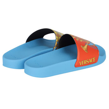 Blue Logo Sliders