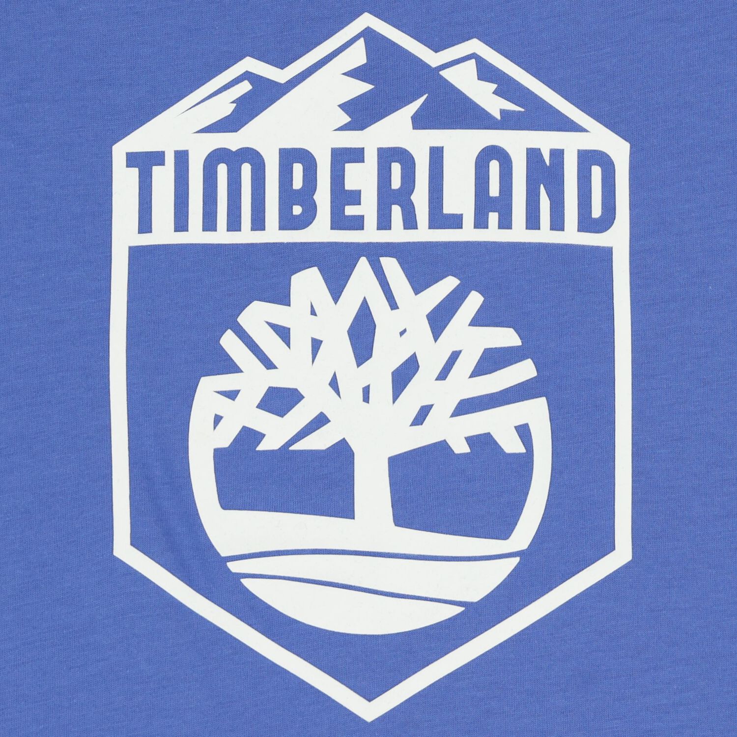 تي شيرت أزرق بشعار للأولاد, 1, hi-res