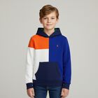 Boys Multi-Coloured Logo Hooded Top, 1, hi-res