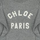 Younger Girls Grey Logo Ruffle Sweatshirt, 1, hi-res