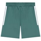 Green Marvel Logo Shorts Set, 1, hi-res