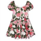 Girls Pink, Red & Green Embroidered Floral Dress, 1, hi-res
