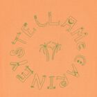 تي شيرت بالشعار  باللون البرتقالي للأولاد, 1, hi-res